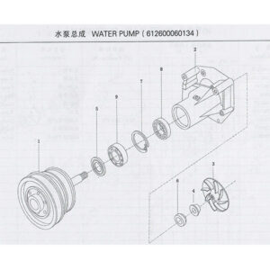 Weichai Water Pump 612600060134