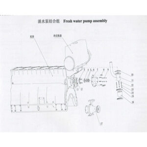 Weichai  Fresh Water Pump Assembly