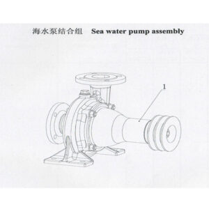 Weichai Sea Water Pump Assembly