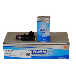 Injection-valve-nozzle-13060070