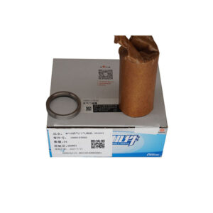Intake-valve-seat-insert-1000137602