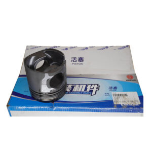 PISTON-1001878532