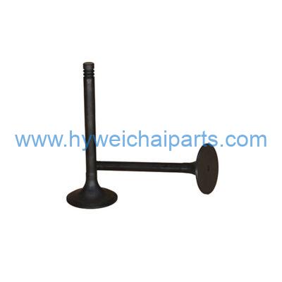 exhaust-valve-13039783